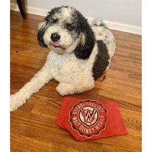 Disney Established 1971 racerbank tank top Red Disney parks Women’s XS 50th